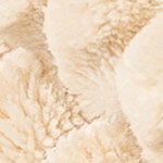 cream beige