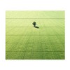 Trademark Fine Art Marcus Cederberg Lonely tree Wood Slat Art - 3 of 4