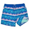 Party Pants Men's Striped Fiesta Swimsuit Bottom - Blue - 2 of 4