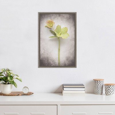 Vintage Hellebore Study II Greywash Framed Canvas Print