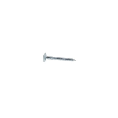 Grip-Rite 1-1/4 in. Roofing Hot-Dipped Galvanized Steel Nail Flat Head