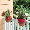 Set Of 2 8 Wall Mounted Flower Pot Holder Ring Brackets Black Powder Coat  - Achla Designs : Target