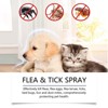 Pet Deworming Spray - Effective in eliminating parasites from dogs and cats' fur and skin, suitable for daily gentle cleaning and care of pets. - 3 of 4