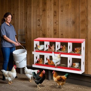 Nesting Boxes for Chickens, Metal Roll Out Laying Nest Box with Perch, Secure Lid Wall Mount or Free Standing - 1 of 4