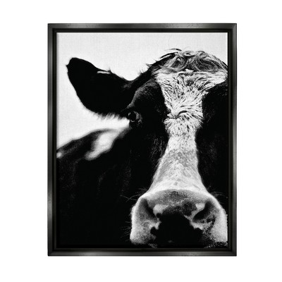 Stupell Industries Cow Black And White Close Up