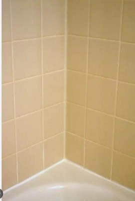 Guest review image 1 of 1, zoom in