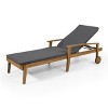 PAGED Patio Chaise Lounge with Adjustable Seating,Outdoor Lounge Chairs with 5 Positions for Poolside,Backyard - 4 of 4