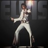 Trends International 2025 Elvis Presley Collector's Edition Calendar: Wall Calendar, 12x12 Inches, Monthly, All Ages - image 3 of 4