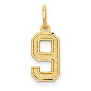 Black Bow Jewelry 14k Yellow Gold, Jersey Collection, Small Number 9 Pendant - 1 of 4