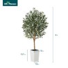 DR.Planzen 72" Artificial Olive Tree with Real Wood Branches - 6FT UV Resistant Indoor/Outdoor Fake Plant in 15.7" Planter (B/W/Coffee) - 3 of 4