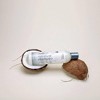 Eden Body Works Coconut Shea Moisture Shampoo - 8 fl oz - 3 of 4