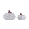 Transpac Glass 7.48 in. Gray Harvest Smokey Pumpkins Set of 2 - 2 of 4