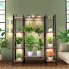 Simple Trending Plant Stand Indoor with Grow Lights, 4 Tier Large Hanging Plant Shelf, Metal Ladder Display Holder for Home Patio, Black - 4 of 4