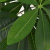 Artificial Plant Green Plastic, Painted wood 33.5 in vidaXL - 2 of 2