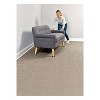 Scotch 4pk Reusable Hard Sliders Gray: Furniture Moving Pads for Carpet, Plastic, 3.5" x 3.5" - 4 of 4