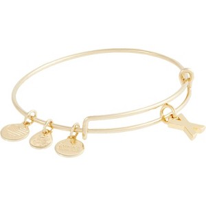 Alex and Ani Expandable Bangle for Women, Initials A to Z Letter Charms, Shiny Finish, 2 to 3.5 in - 1 of 4