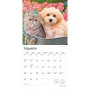 BrownTrout Kittens and Puppies 2026 12"x24" Hanging Square Wall Calendar Plastic-Free - 3 of 4