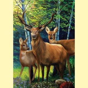 Briarwood Lane Summer Garden Flag 12x18 For Outdoor Deer Family For Summer Garden Flag Flags For Outside - 1 of 4