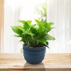SEVOBAL Planters 4-Piece Modern Planter Pots Set, Glossy Indoor, Outdoor Frost-Resistant Garden with Drainage Holes, Blue, 19.7"*19.7"*17.3" - 4 of 4