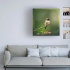 Trademark Fine Art -Jai Johnson 'Hummingbird In The Garden' Canvas Art - 2 of 4