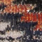rust/multi