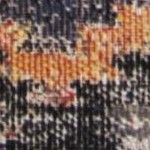 rust/multi