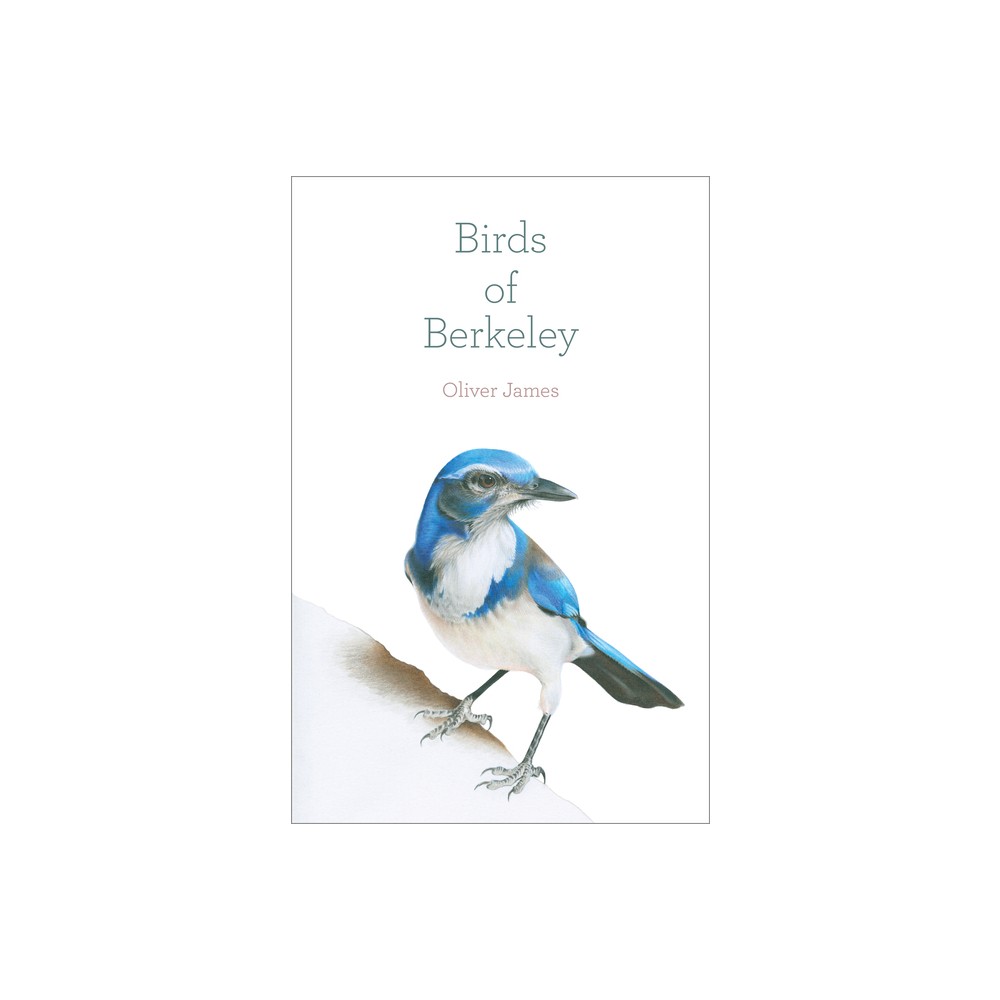 Birds of Berkeley - (Birds of California) by Oliver James (Paperback)