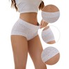 INSPIRE CHIC Women's Cotton Allover Floral Printed Underwear High Waisted Full Coverage Tummy Control Briefs - 3 of 4