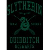 Men's Harry Potter Slytherin Quidditch Team Seeker Pull Over Hoodie - 2 of 4
