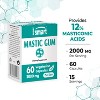 SuperSmart Mastic Gum Supplement 2000mg per Day - Natural Mastic Tree Extract for H. Pylori | Non-GMO & Gluten Free - 60 Vegetarian Capsules - 4 of 4