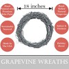 Kraft Lane: 18" Painted Grapevine Wreath - Glitter Silver - DIY Craft Projects - 2 of 4