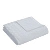 Kate Aurora Pastel Chic Embossed Leaves Ultra Plush Accent Throw Blanket - 50 in. W x 60 in. L - 4 of 4