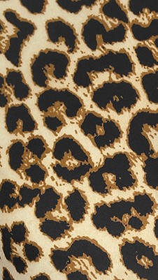 leopard print