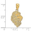 Black Bow Jewelry 14k Yellow Gold Flat Lion Head Pendant, 13 x 25mm (1/2 x 1 Inch) - 3 of 4