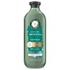 Herbal Essences Eucalyptus Sulfate Free Conditioner, For Dry Scalp - 13.5 fl oz - 2 of 4