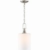 Craftmade Lighting Dardyn 1 - Light Pendant in  Brushed Polished Nickel - 3 of 3