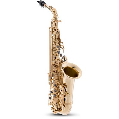 P. Mauriat Pmsa-57gc Intermediate Alto Saxophone Beginner Package : Target