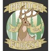 Boy's Bambi Prince of the Forest T-Shirt - 2 of 4