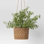 Faux Mini Money Leaves in Woven Pot Wall Sculptures Green - Threshold™