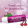 Vaseline Holiday Limited Edition Lip Therapy Stick - Merry Cherry - 2pk - 4 of 4