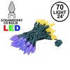 Novelty Lights C6 LED Christmas String Lights 70 Strawberry Bulbs (Green Wire, 24 Feet) - image 2 of 4