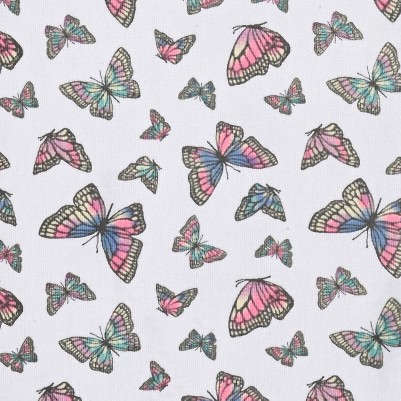 multicolor butterfly