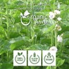 Organic Way Marshmallow Leaf Whole 4 Oz - 4 of 4
