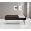 Vynxaria Brown Lift-Top Coffee Table Walnut/White Marble Printed Veneers, Champagne Iron Base, Under-Top/Open Storage, Adjustable Levelers - 4 of 4