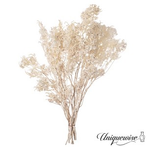Uniquewise Preserved Real Floral Stems Chic Vase Fillers & Accents for Bouquets Centerpieces - 1 of 4