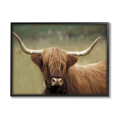 Stupell Industries Highland Cattle Shaggy Hair Country Animal Portrait  Photography Black Framed Giclee, 24 x 30