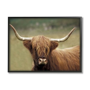 Stupell Industries Highland Cattle Shaggy Hair Country Animal Portrait Photography - 1 of 4