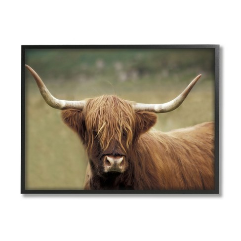 Stupell Industries Curly Hair Highland Cow Baby Cattle Portrait