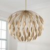 Capital Lighting Margeaux 5 - Light Pendant in  Buffed Gold - 3 of 3
