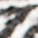 black, cream, light gray, gray, beige